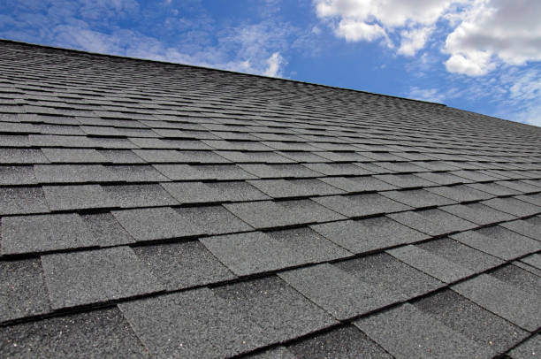 Best Steel Roofing  in Grant, MI